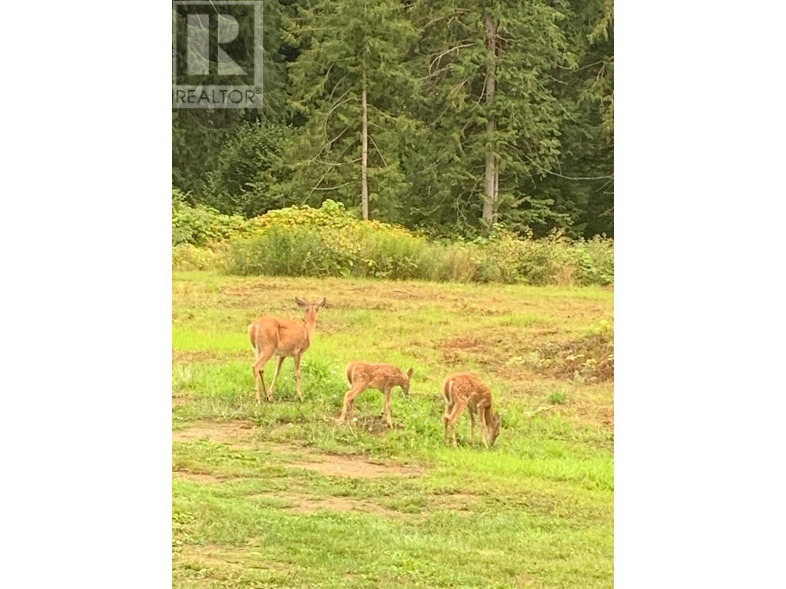 16622 Marquise Street, Poplar Creek, British Columbia  V0G 1N0 - Photo 23 - 2460723