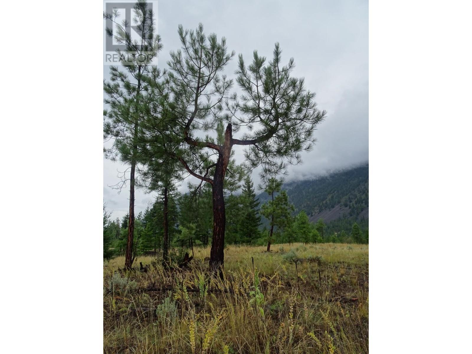 285 Jones Road, Lillooet, British Columbia  V0K 1V0 - Photo 13 - 165306