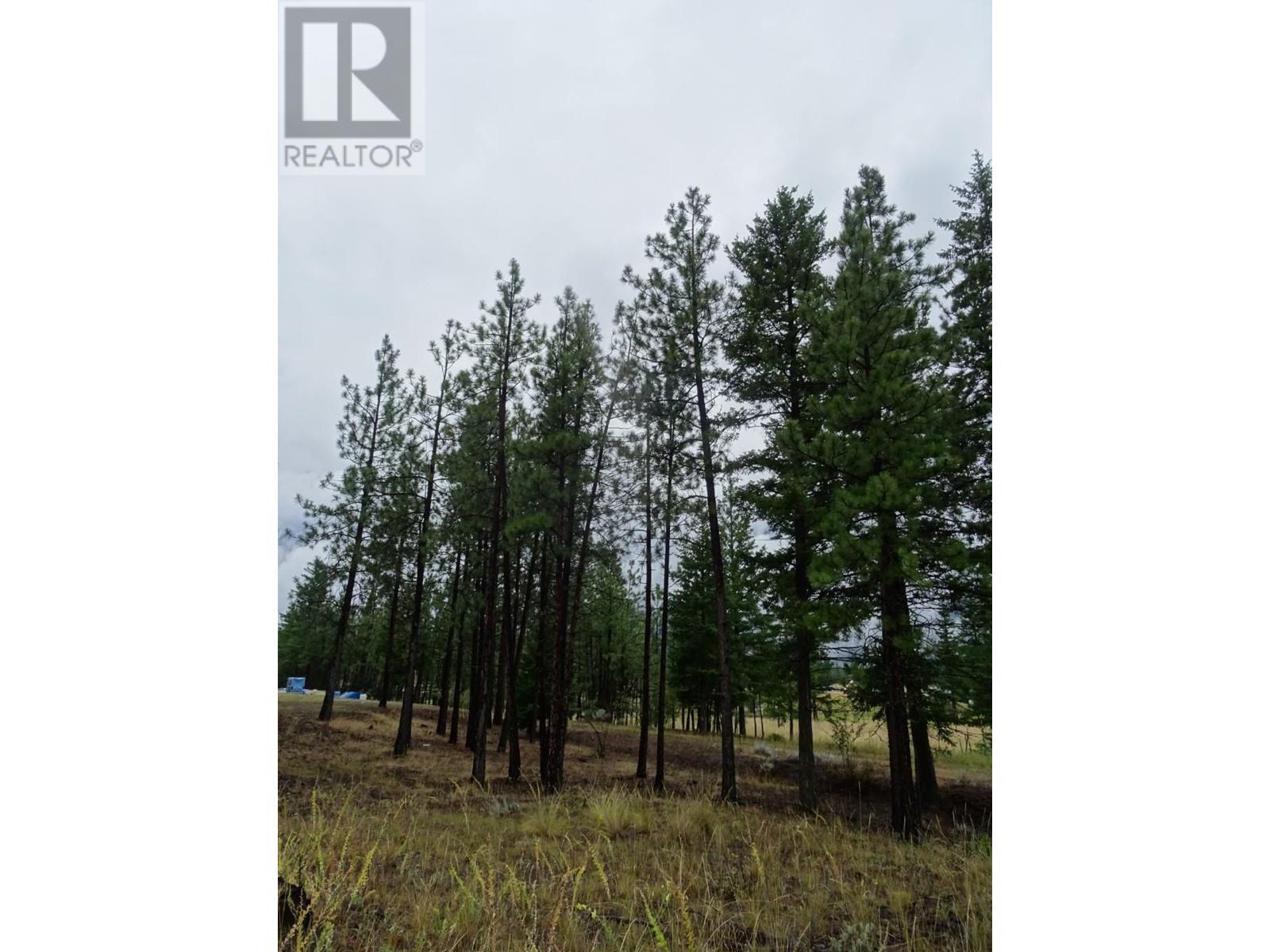 285 Jones Road, Lillooet, British Columbia  V0K 1V0 - Photo 14 - 165306