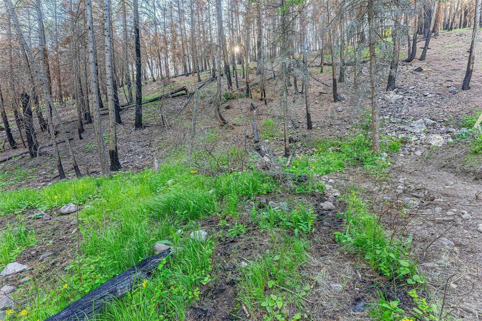 Lot 34 Winchester Road, Vernon, British Columbia  V1H 2E1 - Photo 8 - 10255135