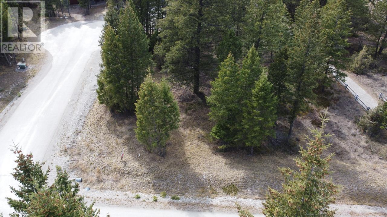 Lot 1 Pedley Heights Drive, Windermere, British Columbia  V0B 2L1 - Photo 2 - 2468886