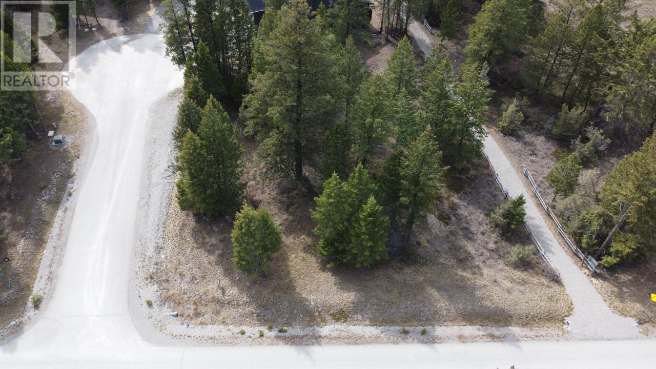 Lot 1 Pedley Heights Drive, Windermere, British Columbia  V0B 2L1 - Photo 3 - 2468886
