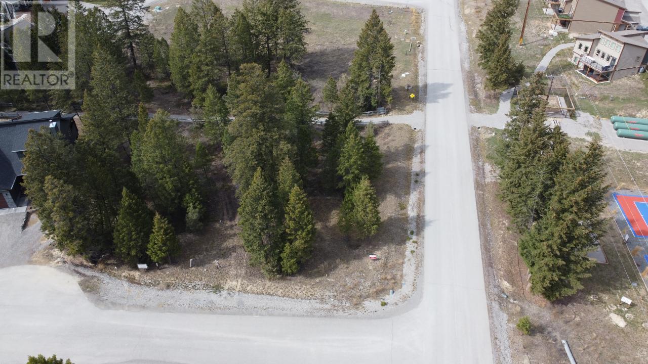Lot 1 Pedley Heights Drive, Windermere, British Columbia  V0B 2L1 - Photo 4 - 2468886