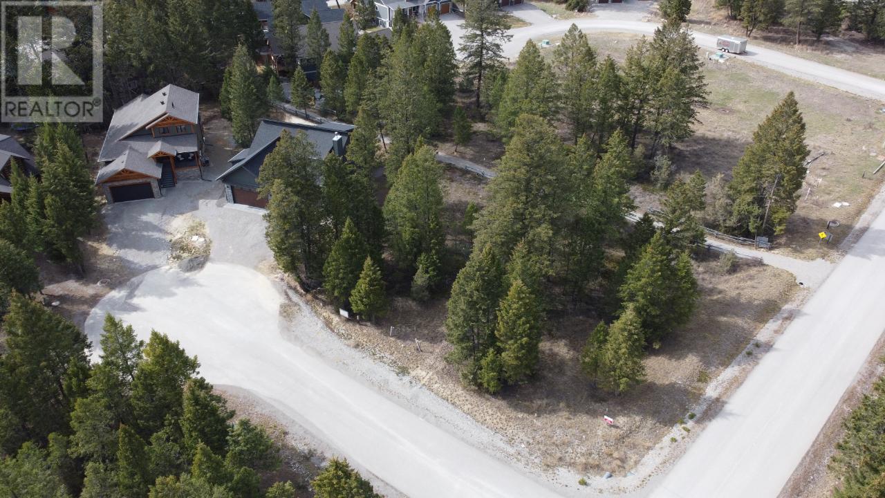Lot 1 Pedley Heights Drive, Windermere, British Columbia  V0B 2L1 - Photo 5 - 2468886