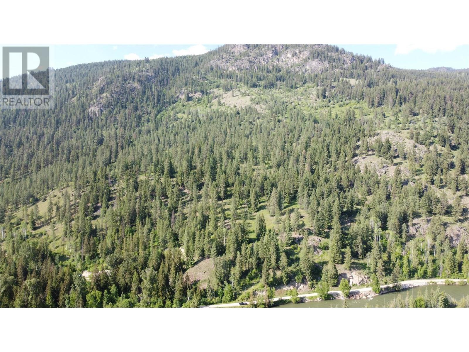40 Acres Shuswap River Drive, Lumby, British Columbia  V0E 2G6 - Photo 11 - 10268876
