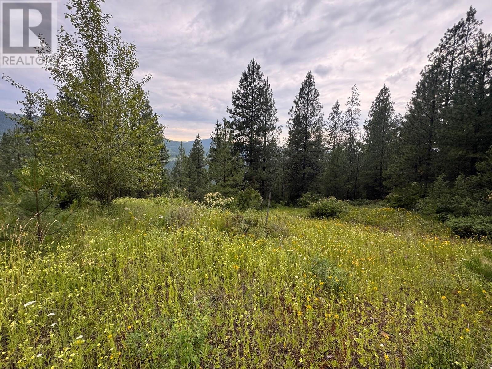 40 Acres Shuswap River Drive, Lumby, British Columbia  V0E 2G6 - Photo 2 - 10268876