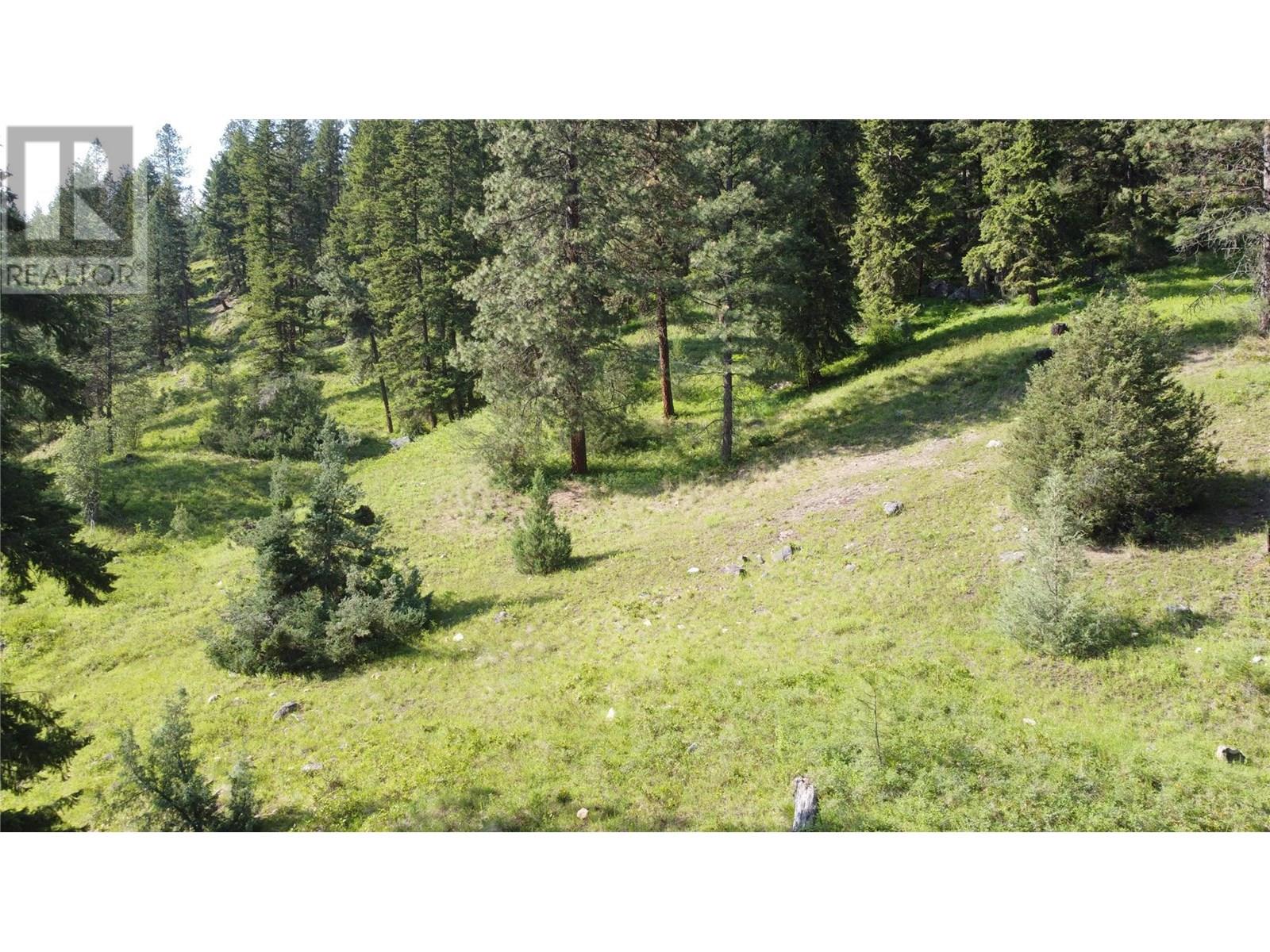 40 Acres Shuswap River Drive, Lumby, British Columbia  V0E 2G6 - Photo 20 - 10268876