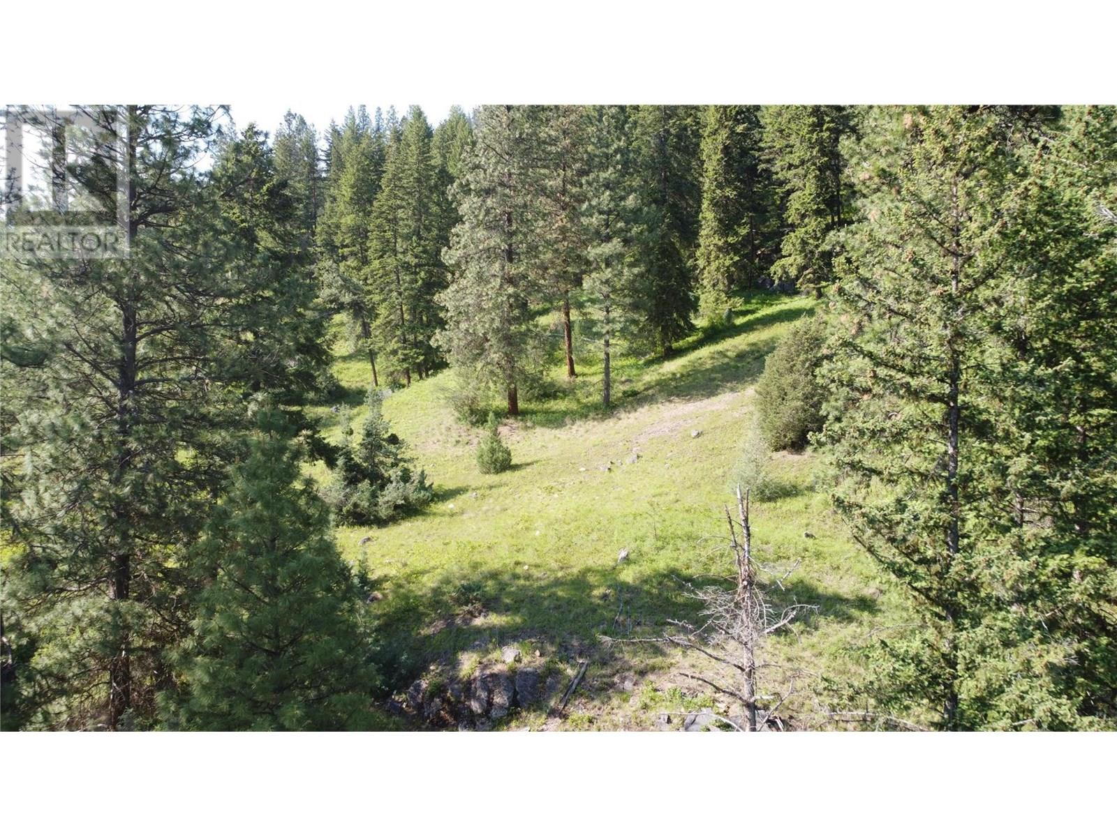 40 Acres Shuswap River Drive, Lumby, British Columbia  V0E 2G6 - Photo 21 - 10268876