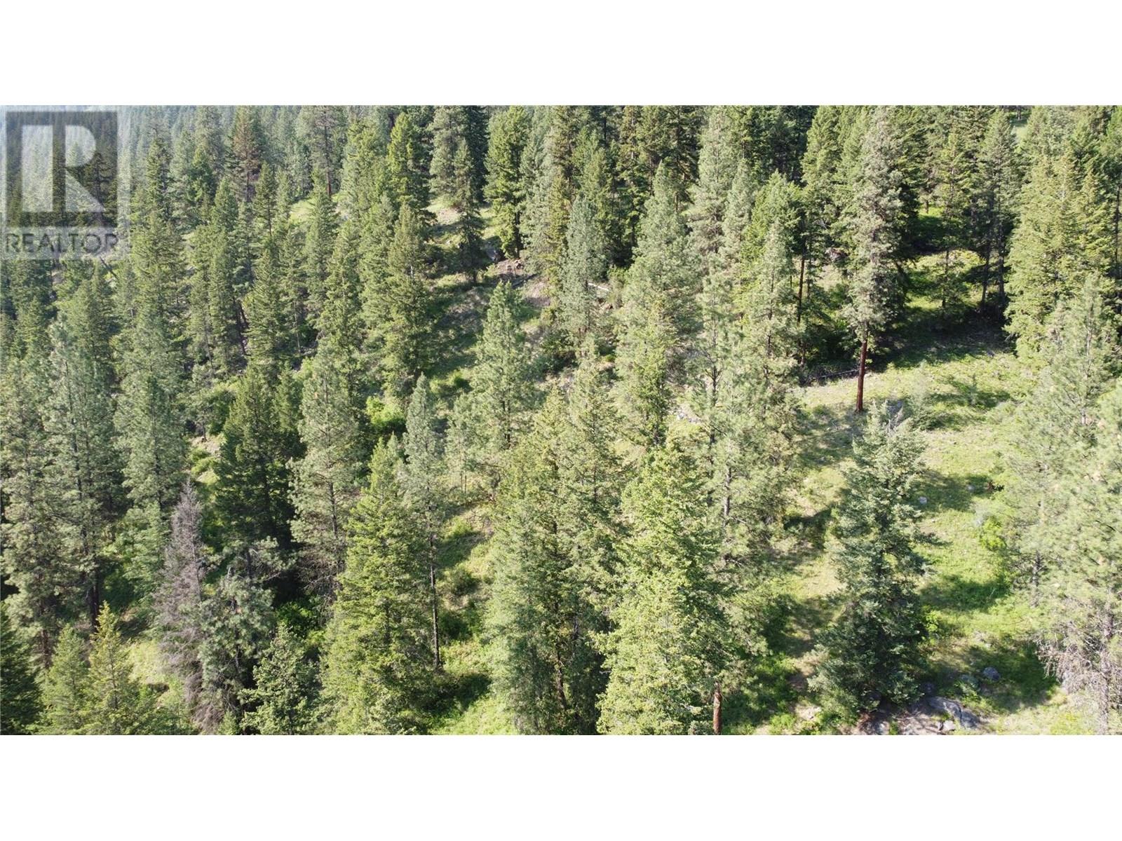 40 Acres Shuswap River Drive, Lumby, British Columbia  V0E 2G6 - Photo 23 - 10268876