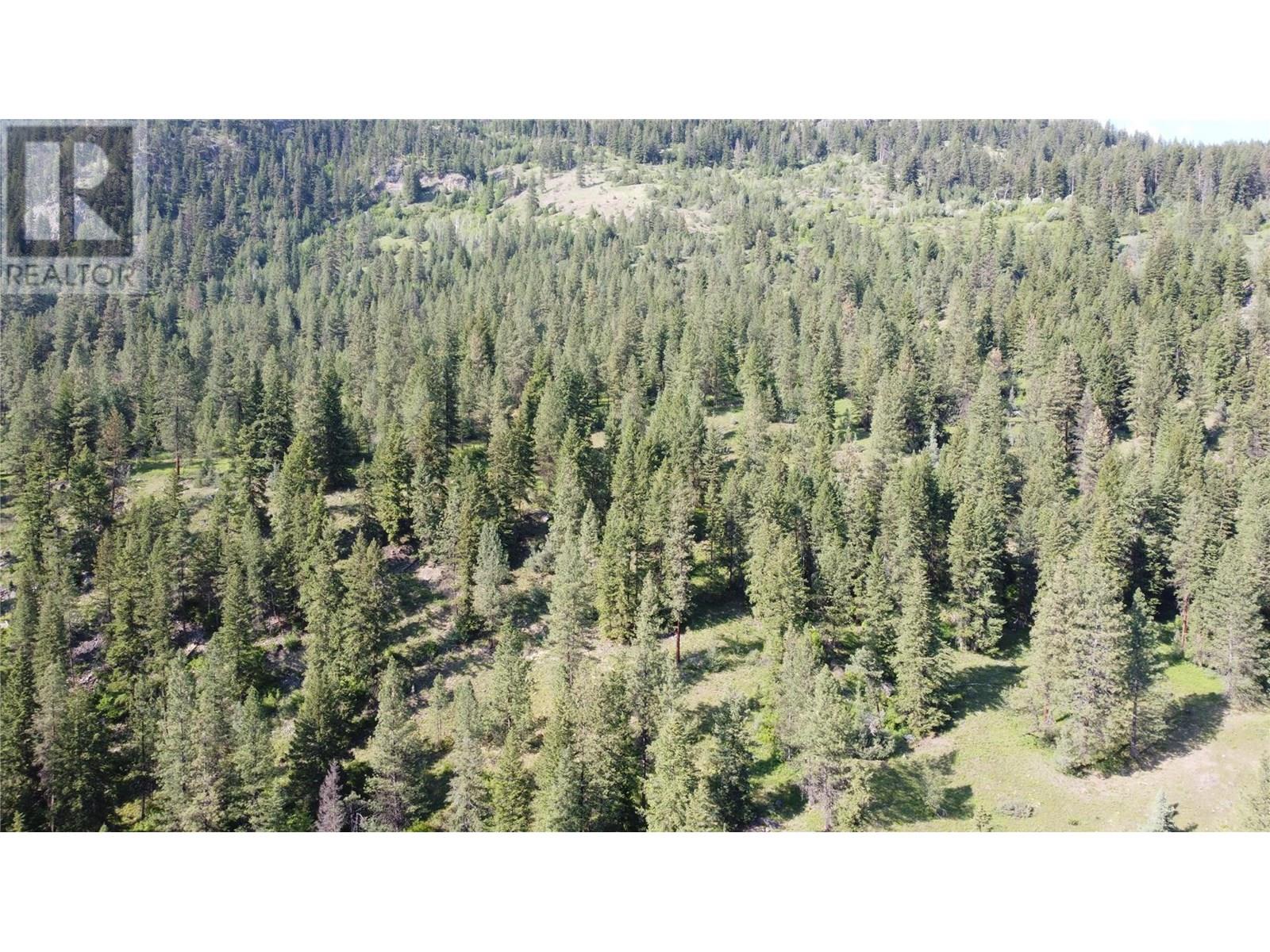 40 Acres Shuswap River Drive, Lumby, British Columbia  V0E 2G6 - Photo 26 - 10268876