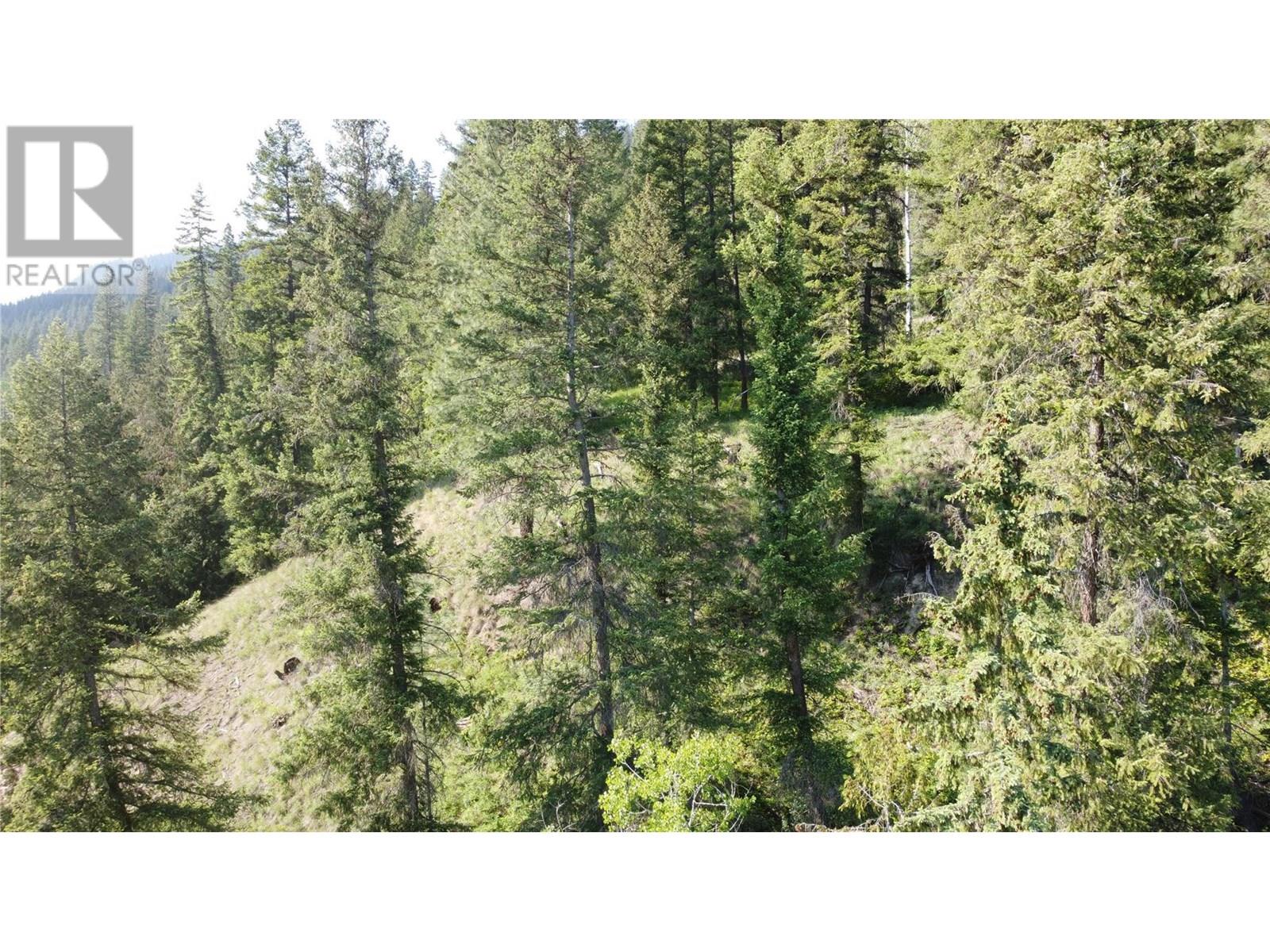 40 Acres Shuswap River Drive, Lumby, British Columbia  V0E 2G6 - Photo 27 - 10268876