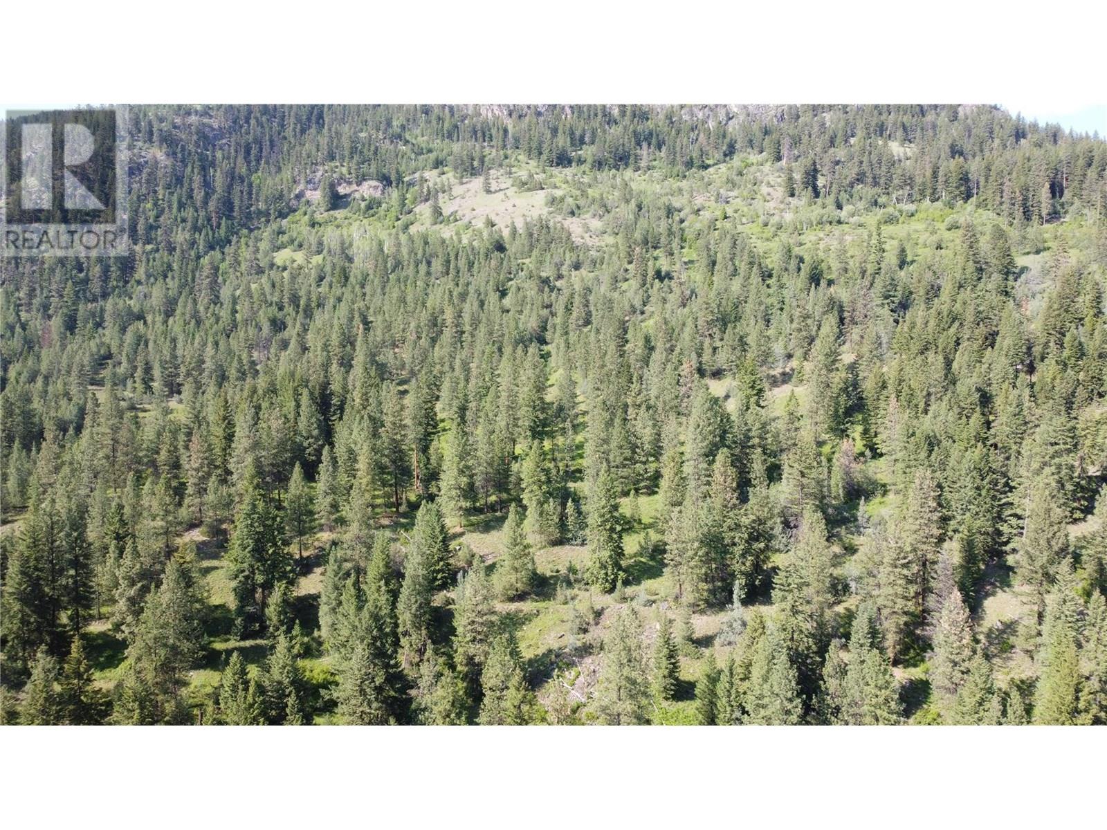 40 Acres Shuswap River Drive, Lumby, British Columbia  V0E 2G6 - Photo 28 - 10268876
