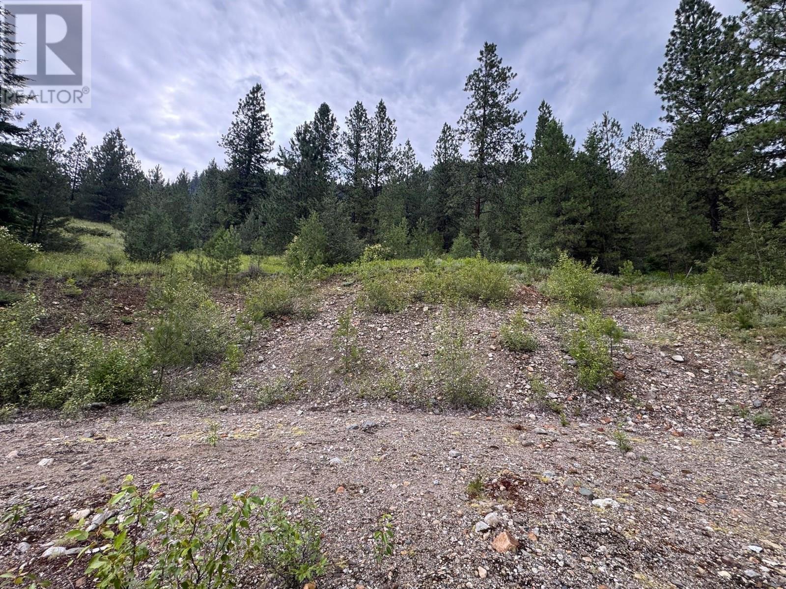 40 Acres Shuswap River Drive, Lumby, British Columbia  V0E 2G6 - Photo 5 - 10268876