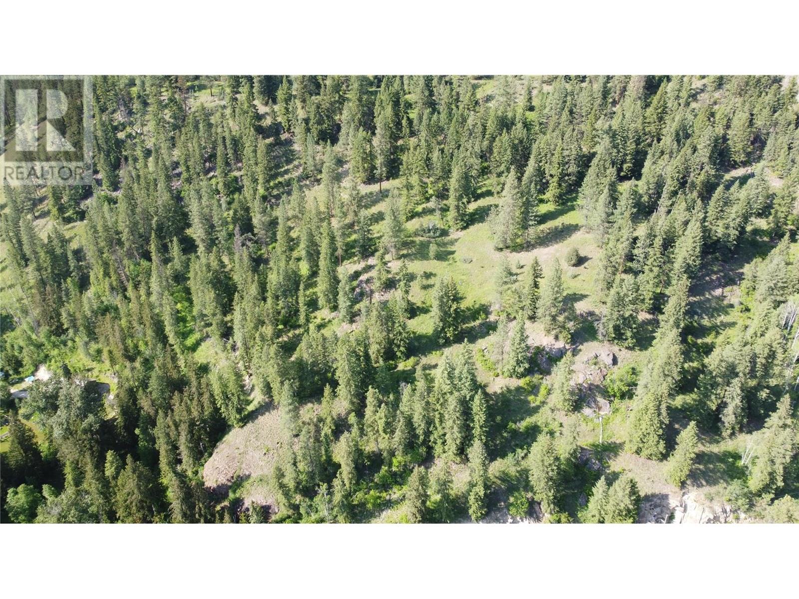40 Acres Shuswap River Drive, Lumby, British Columbia  V0E 2G6 - Photo 8 - 10268876