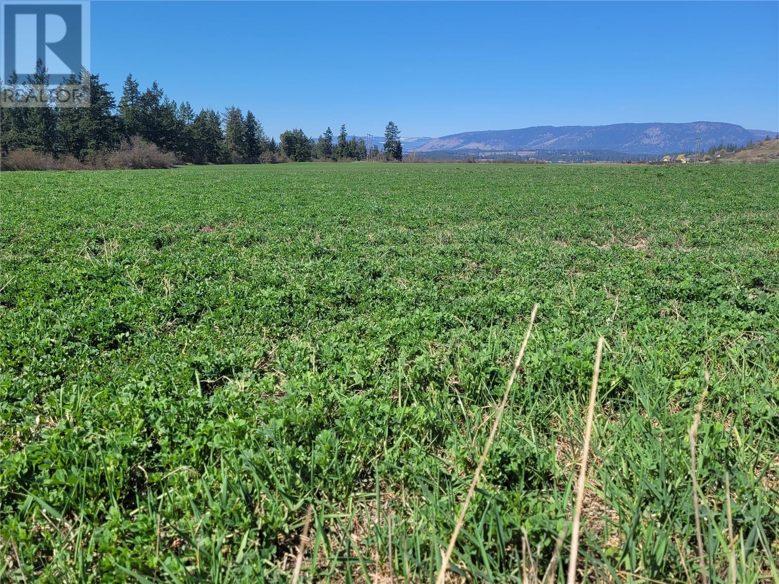 Lot 1 Marshall Road, Spallumcheen, British Columbia  V0E 1V0 - Photo 17 - 10268917