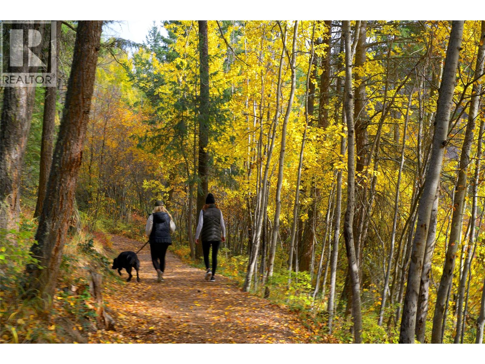 164 Wildsong Crescent, Vernon, British Columbia  V1H 1Y6 - Photo 57 - 10269914