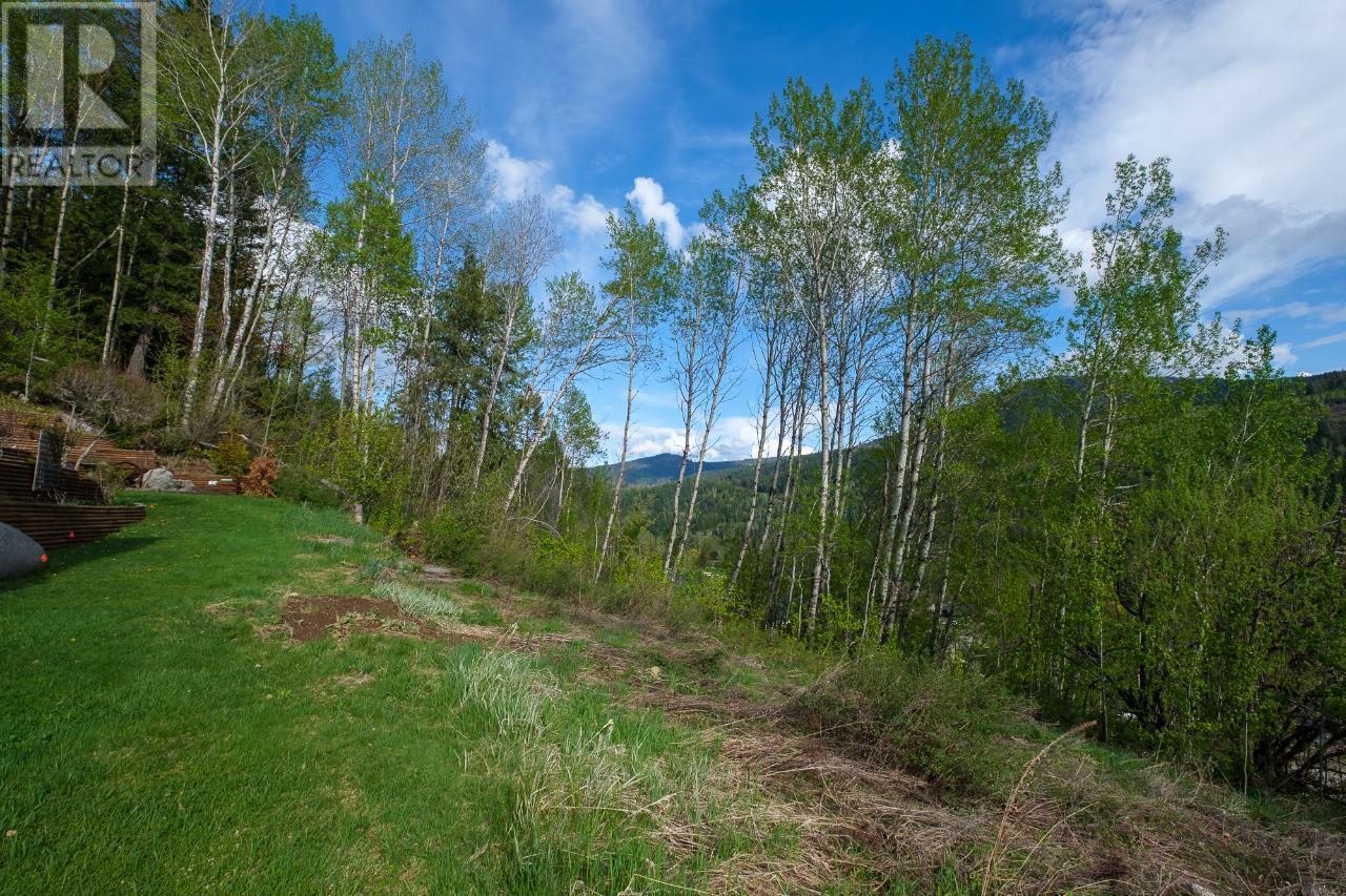 1021 Silvertip Road, Rossland, British Columbia  V0G 1Y0 - Photo 12 - 2470639