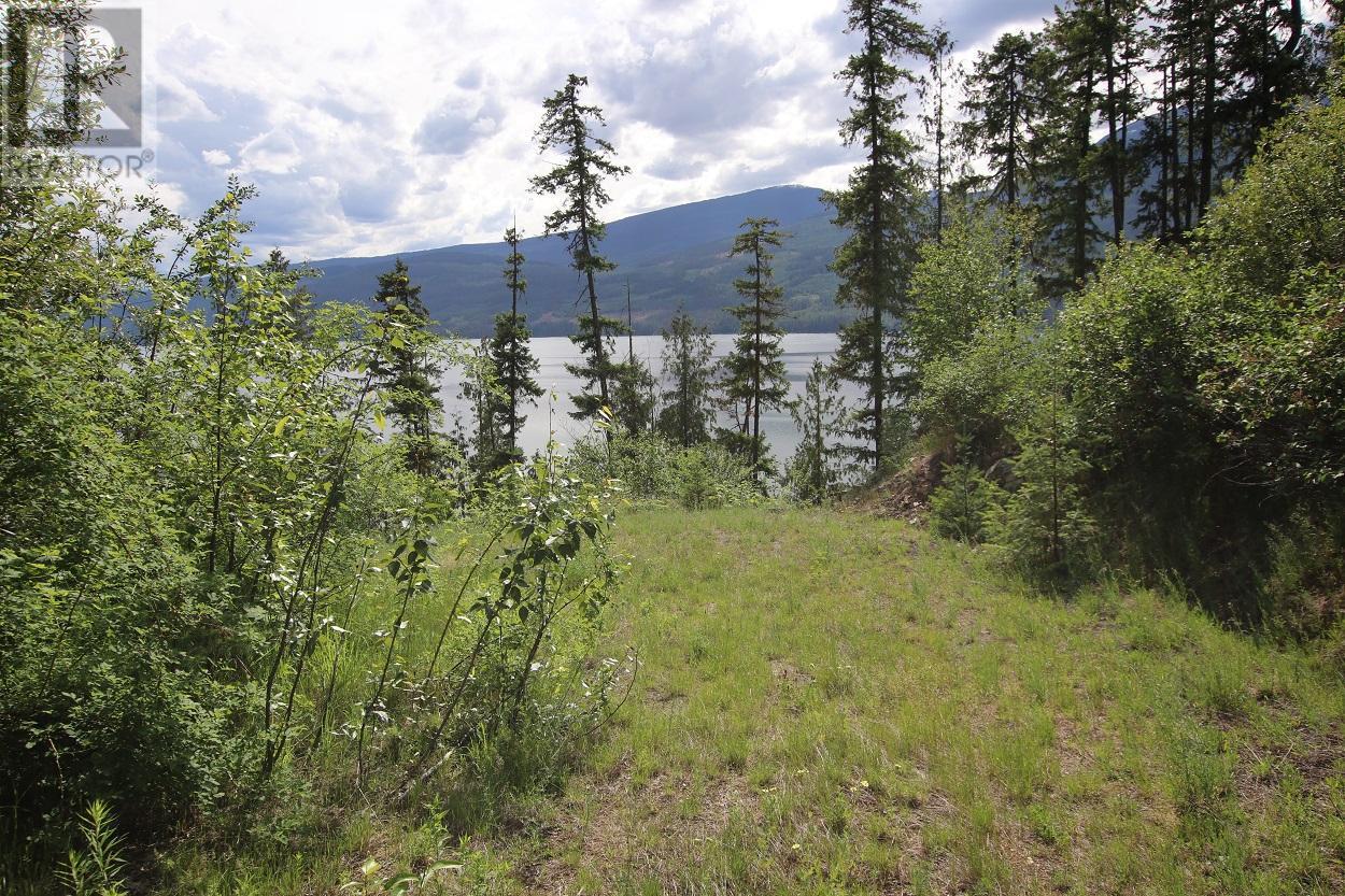 Lot B Highway 23, Nakusp, British Columbia  V0G 1R1 - Photo 1 - 2471621
