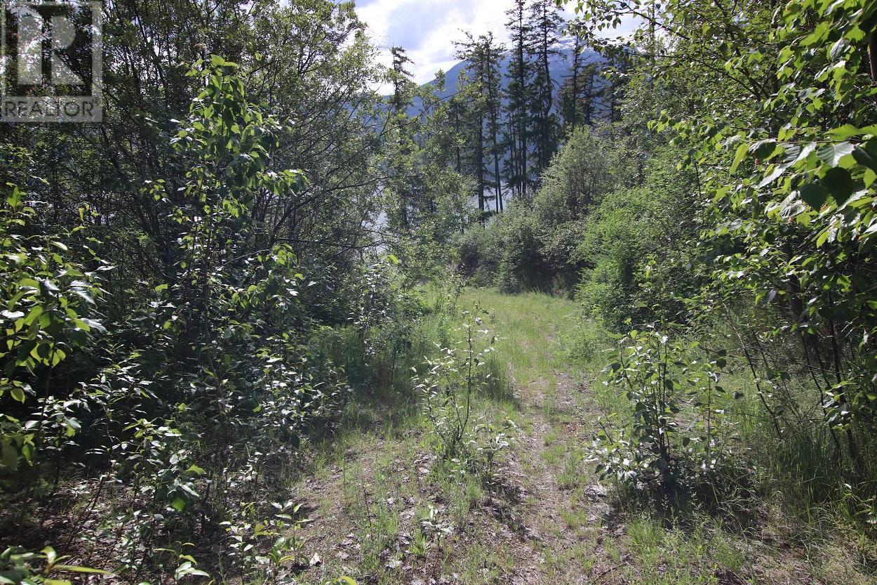 Lot B Highway 23, Nakusp, British Columbia  V0G 1R1 - Photo 10 - 2471621