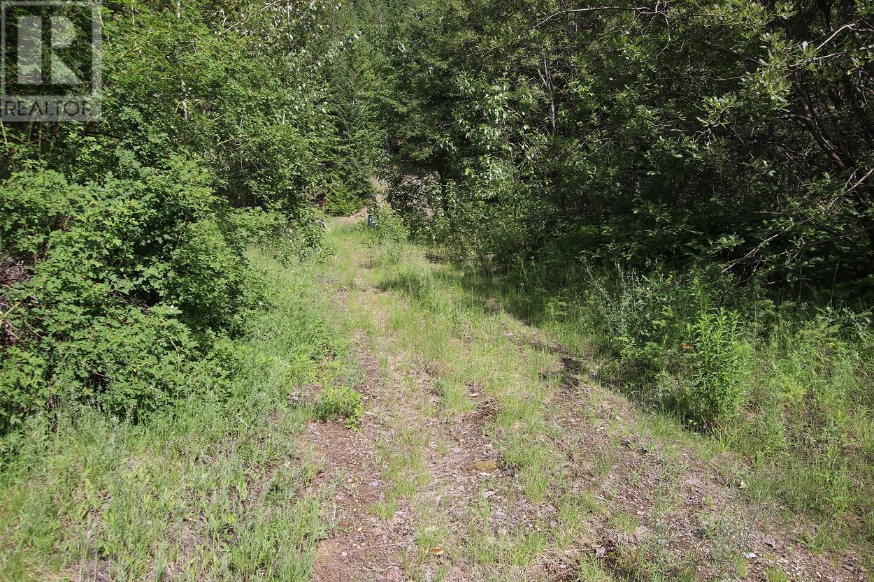 Lot B Highway 23, Nakusp, British Columbia  V0G 1R1 - Photo 11 - 2471621