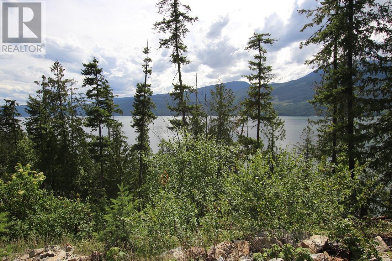 Lot B Highway 23, Nakusp, British Columbia  V0G 1R1 - Photo 12 - 2471621