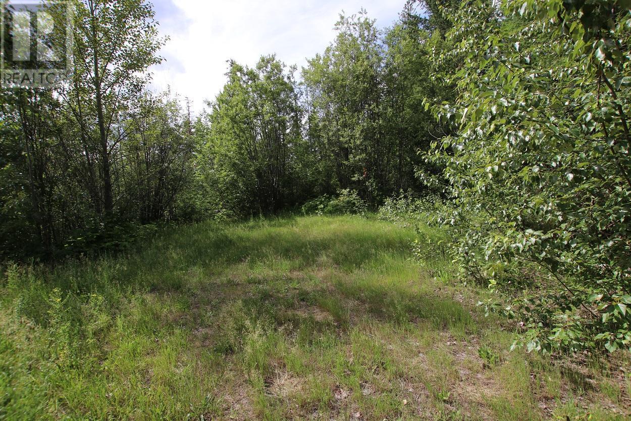 Lot B Highway 23, Nakusp, British Columbia  V0G 1R1 - Photo 13 - 2471621
