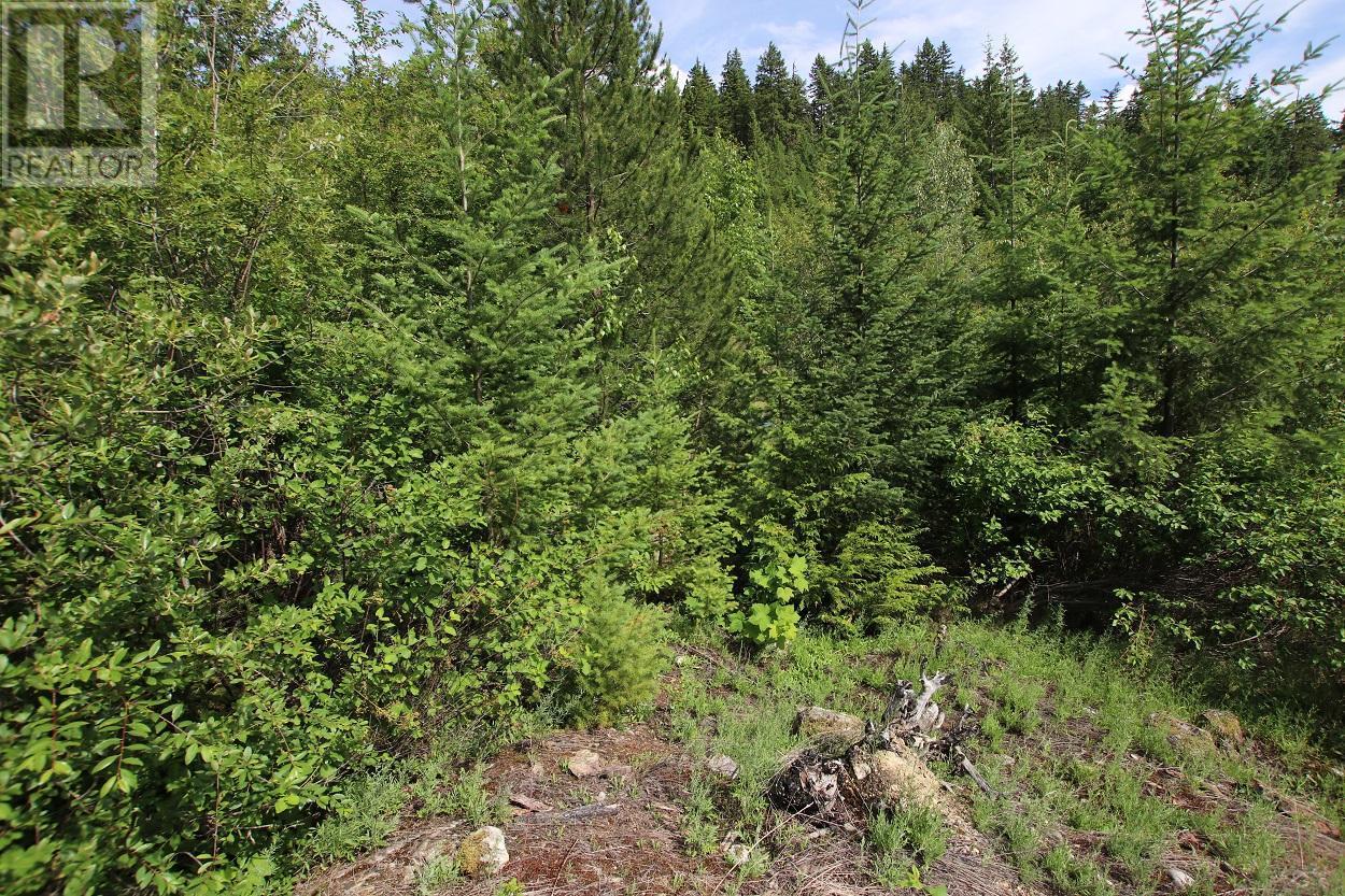 Lot B Highway 23, Nakusp, British Columbia  V0G 1R1 - Photo 16 - 2471621