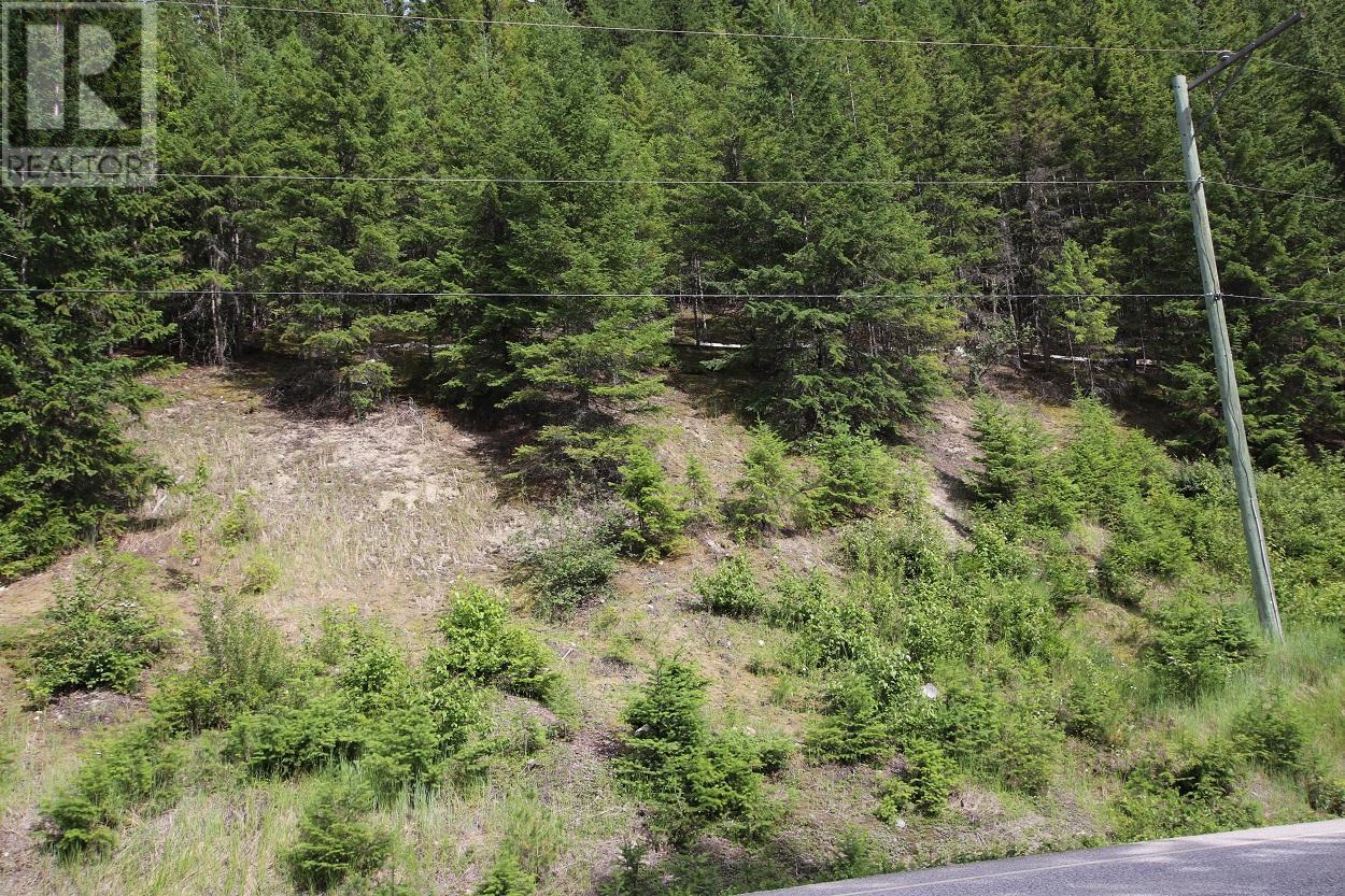 Lot B Highway 23, Nakusp, British Columbia  V0G 1R1 - Photo 17 - 2471621