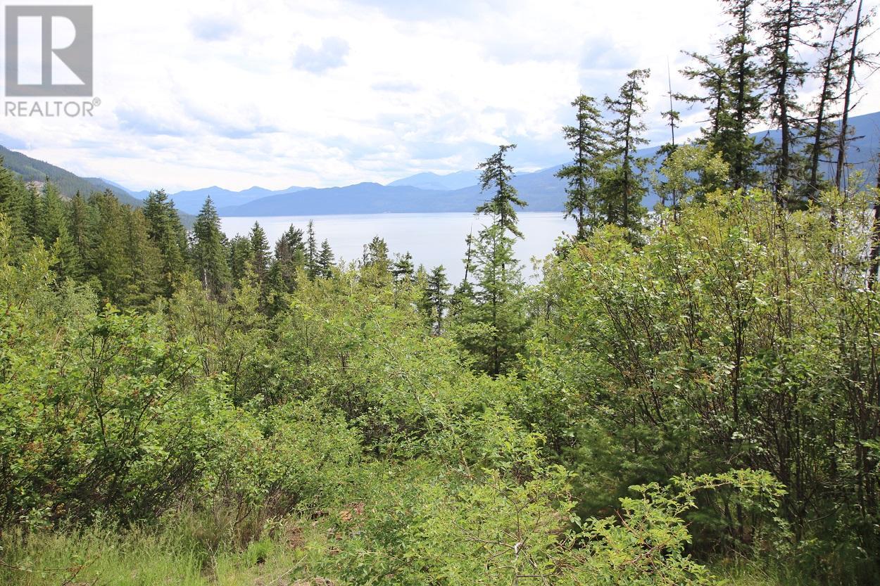 Lot B Highway 23, Nakusp, British Columbia  V0G 1R1 - Photo 4 - 2471621