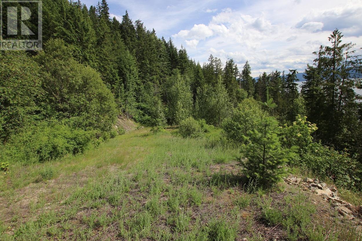 5959 Highway 23, Nakusp, British Columbia  V0G 1R1 - Photo 1 - 2471622