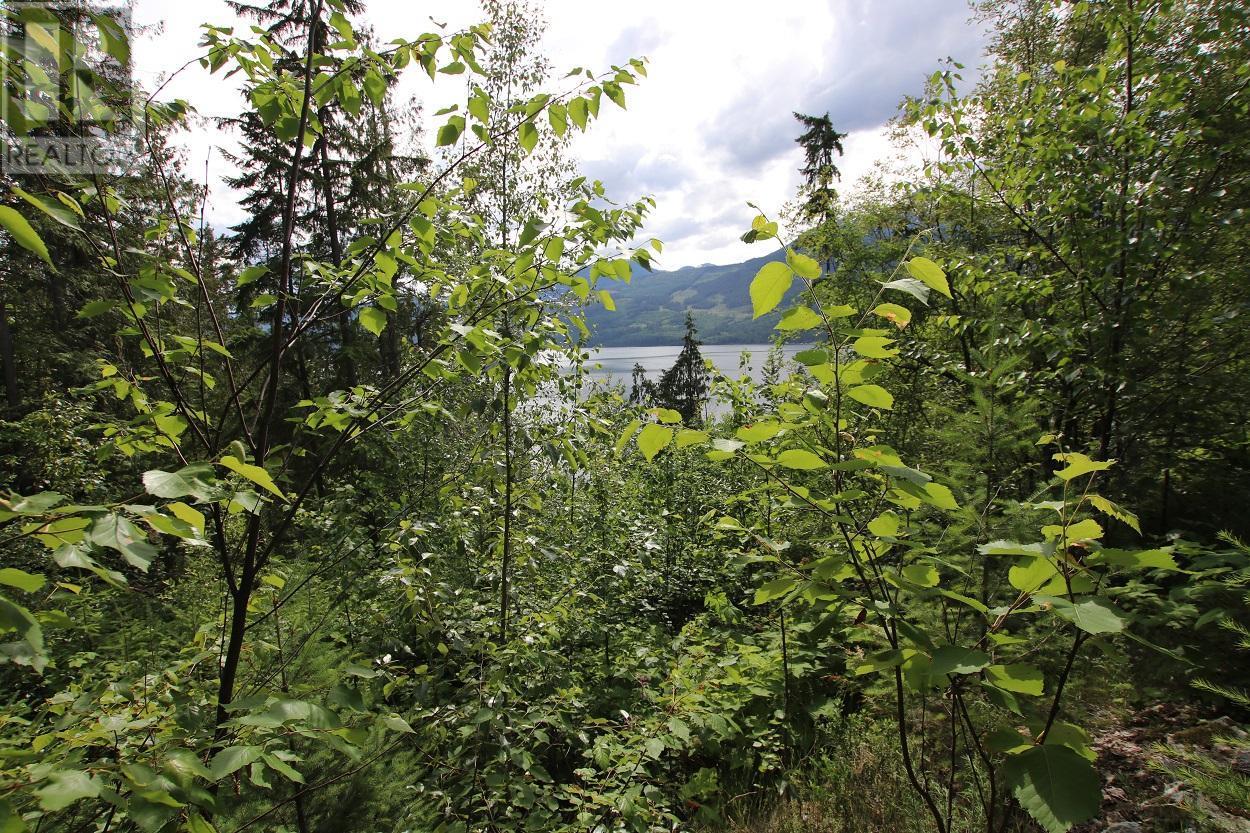 5959 Highway 23, Nakusp, British Columbia  V0G 1R1 - Photo 14 - 2471622