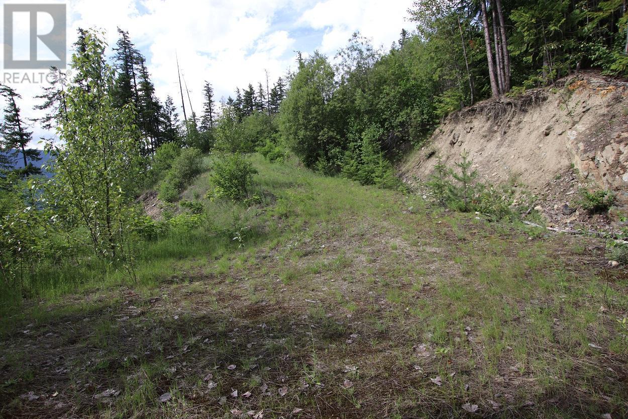 5959 Highway 23, Nakusp, British Columbia  V0G 1R1 - Photo 15 - 2471622