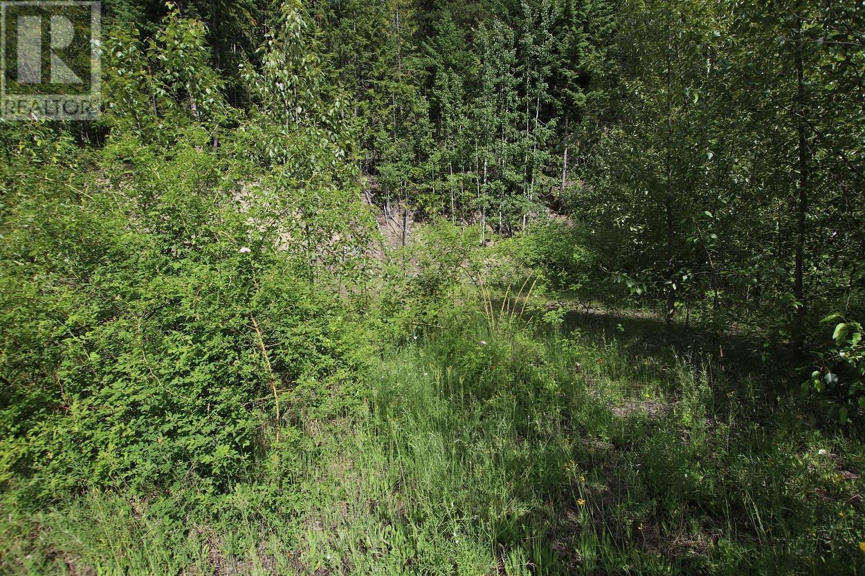 5959 Highway 23, Nakusp, British Columbia  V0G 1R1 - Photo 16 - 2471622