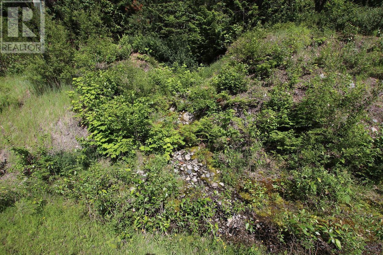 5959 Highway 23, Nakusp, British Columbia  V0G 1R1 - Photo 18 - 2471622