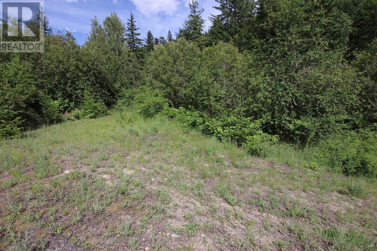 5959 Highway 23, Nakusp, British Columbia  V0G 1R1 - Photo 2 - 2471622