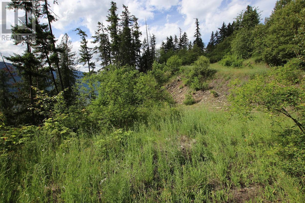 5959 Highway 23, Nakusp, British Columbia  V0G 1R1 - Photo 3 - 2471622