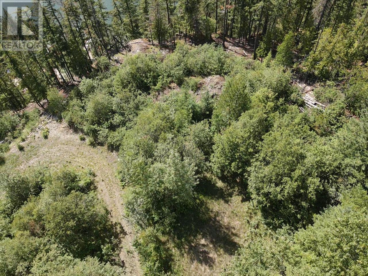 5959 Highway 23, Nakusp, British Columbia  V0G 1R1 - Photo 4 - 2471622