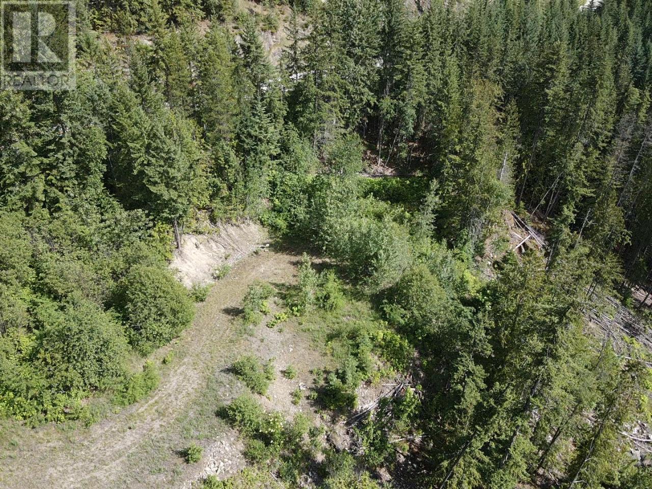 5959 Highway 23, Nakusp, British Columbia  V0G 1R1 - Photo 7 - 2471622