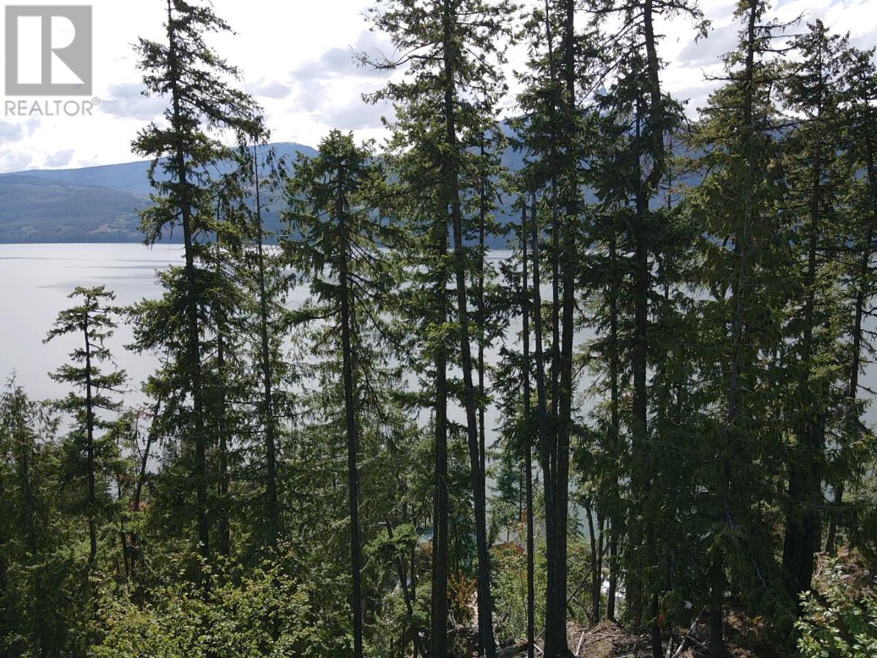 5959 Highway 23, Nakusp, British Columbia  V0G 1R1 - Photo 9 - 2471622