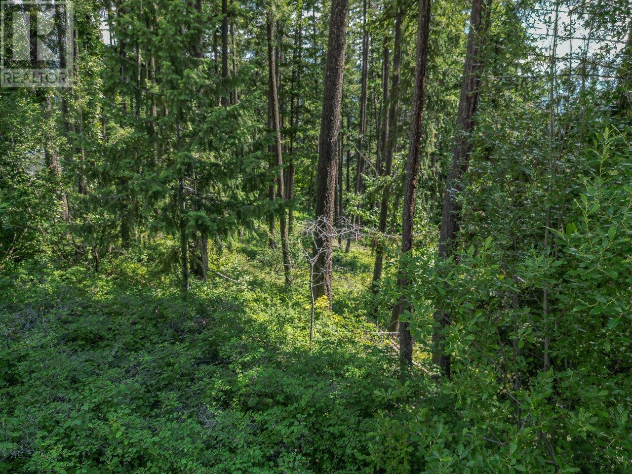 Lot 25 Forest View Place, Blind Bay, British Columbia  V0E 1H1 - Photo 19 - 10278634