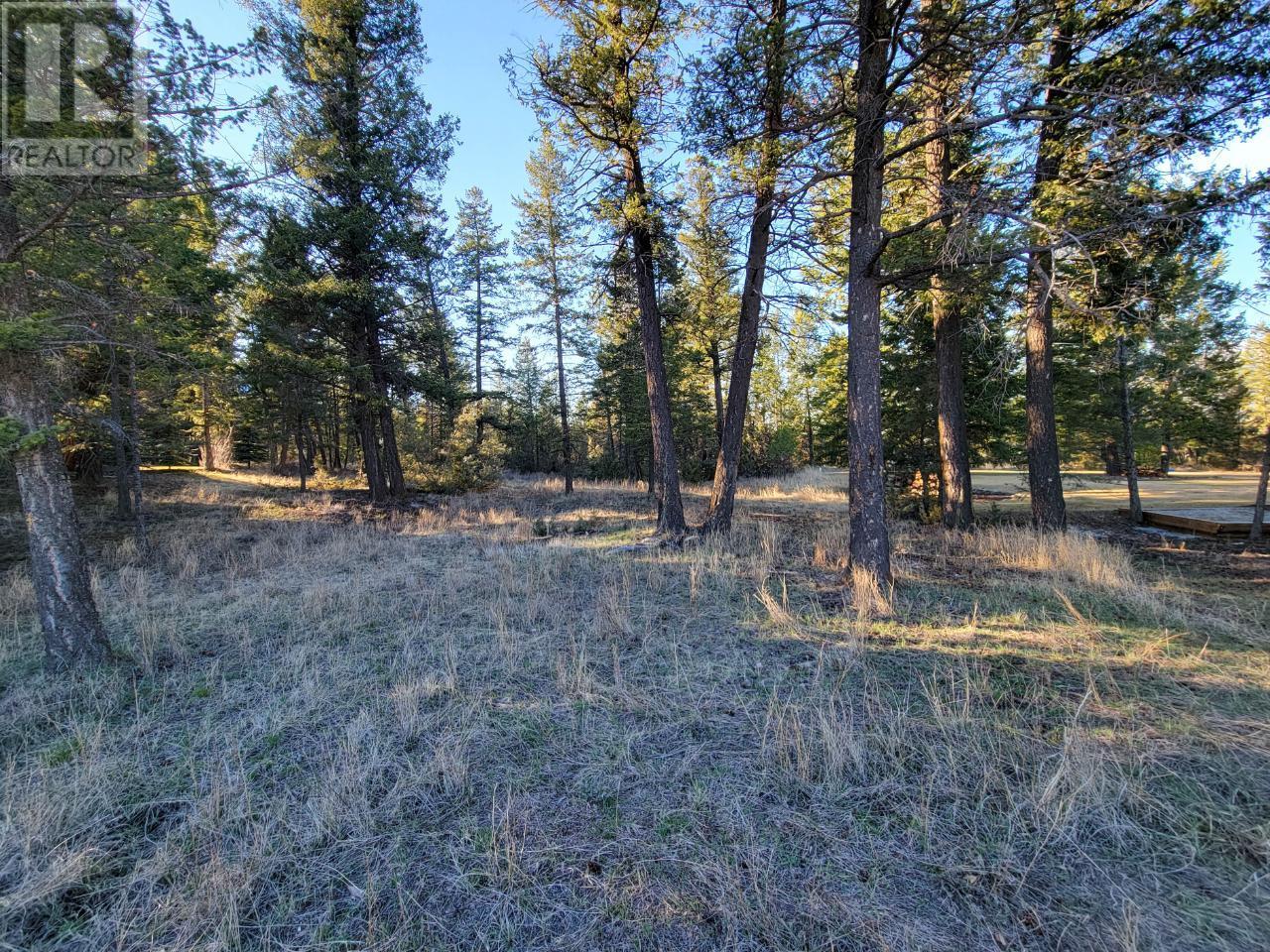 Lot 1 Tamarack Bay, Fairmont Hot Springs, British Columbia  V0B 1L0 - Photo 25 - 2471838
