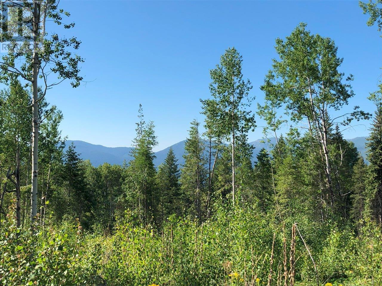 1827s Morrissey Creek Road, Grand Forks, British Columbia  V0H 1H2 - Photo 1 - 2472583