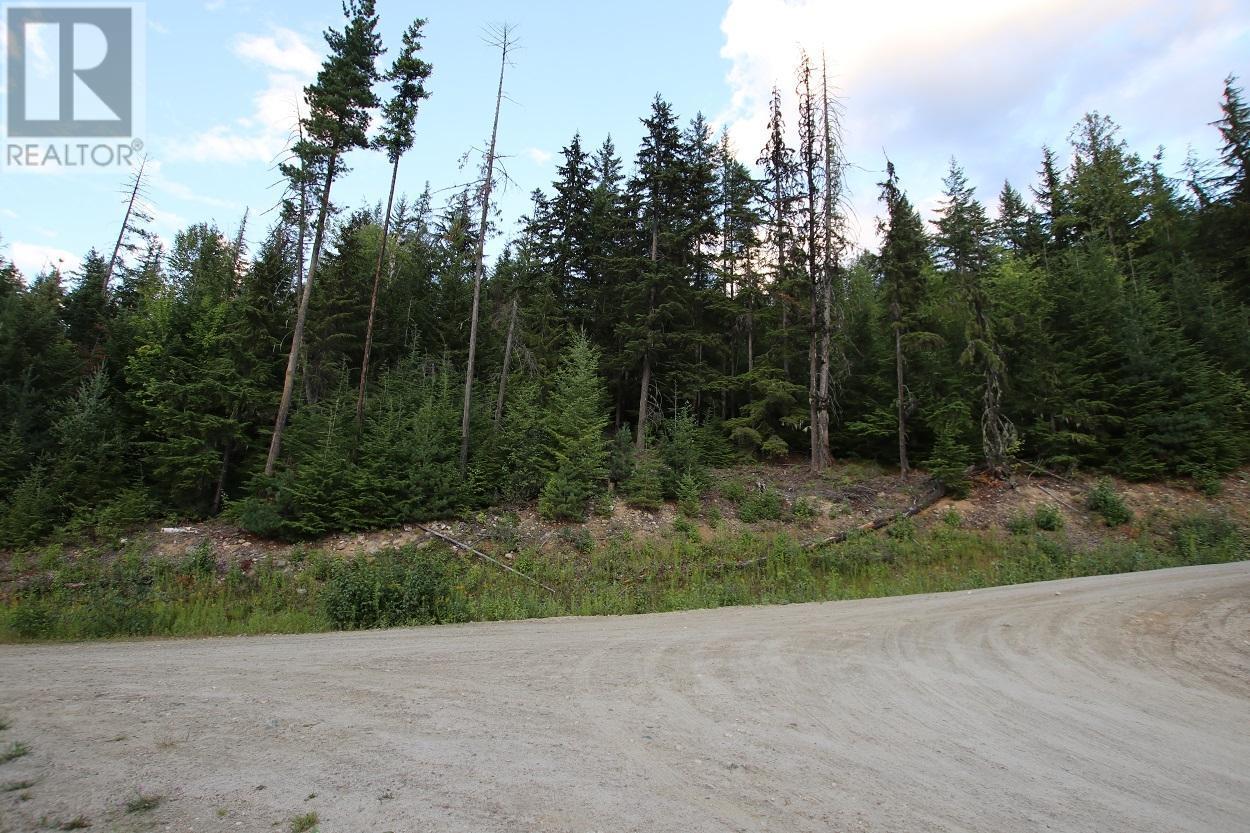 5621 Highway 23, Nakusp, British Columbia  V0G 1R1 - Photo 15 - 2472858