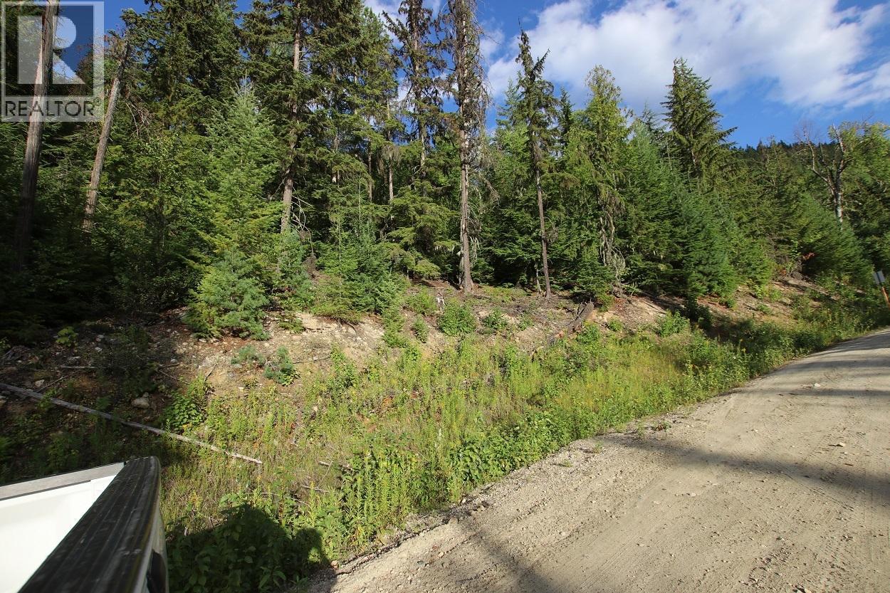 5621 Highway 23, Nakusp, British Columbia  V0G 1R1 - Photo 21 - 2472858