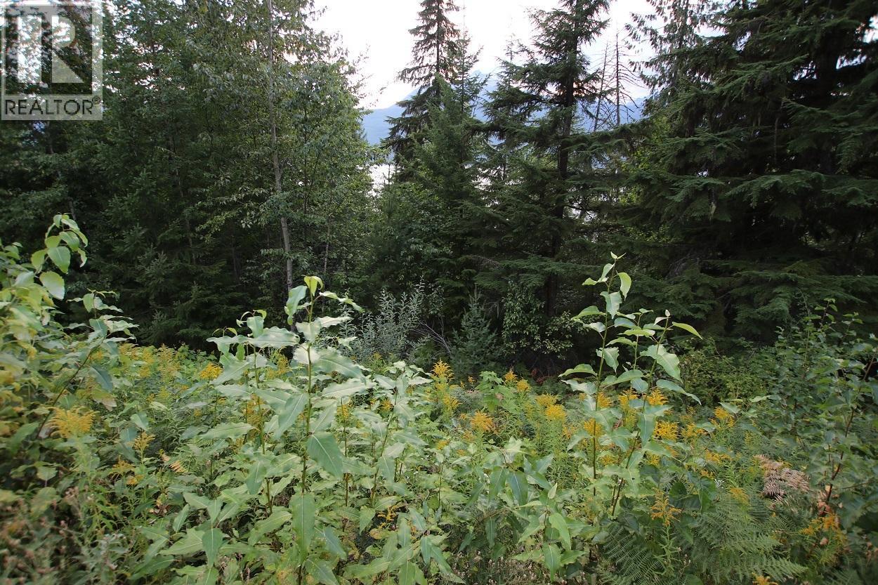 5621 Highway 23, Nakusp, British Columbia  V0G 1R1 - Photo 22 - 2472858