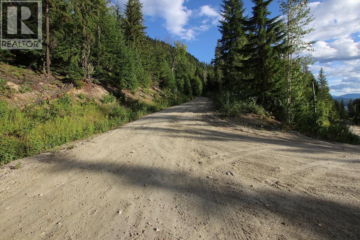 5621 Highway 23, Nakusp, British Columbia  V0G 1R1 - Photo 23 - 2472858