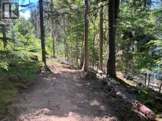 5621 Highway 23, Nakusp, British Columbia  V0G 1R1 - Photo 25 - 2472858