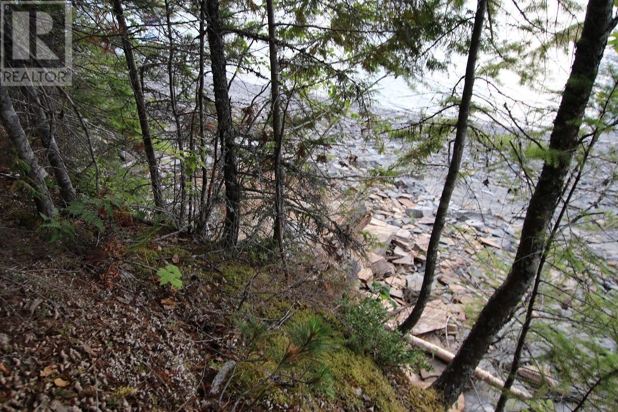 5621 Highway 23, Nakusp, British Columbia  V0G 1R1 - Photo 3 - 2472858