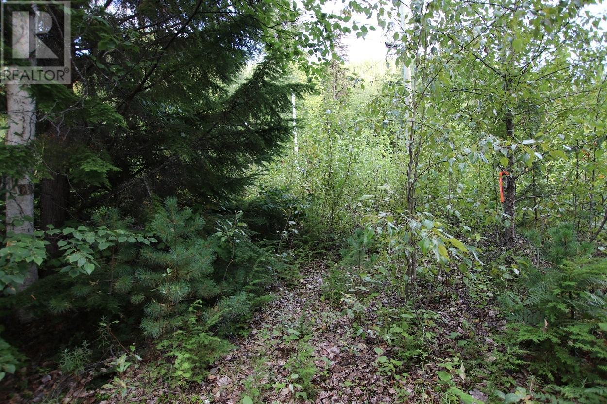 5621 Highway 23, Nakusp, British Columbia  V0G 1R1 - Photo 6 - 2472858