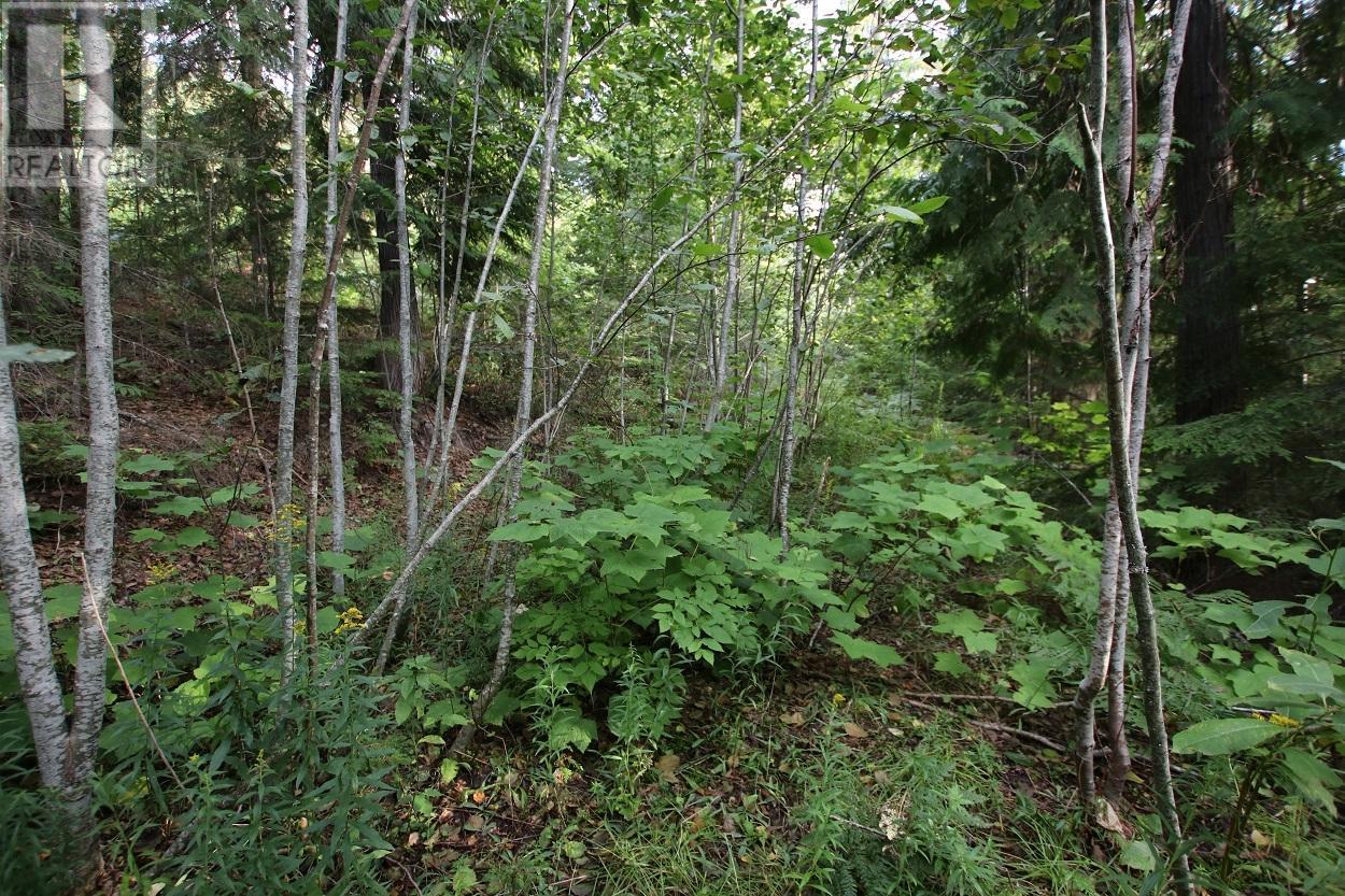 5621 Highway 23, Nakusp, British Columbia  V0G 1R1 - Photo 7 - 2472858